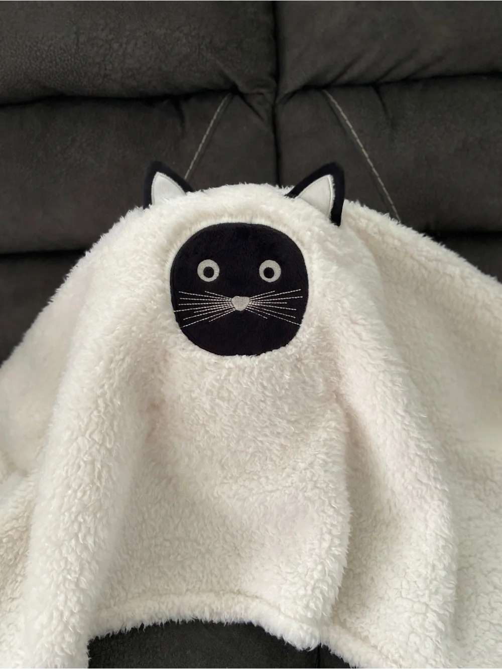 Scaredy Cat Pillow Pottery Barn NWT
